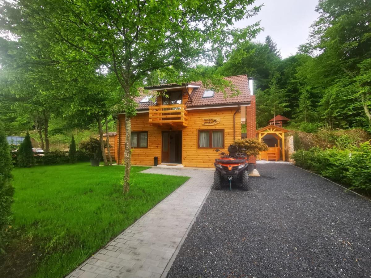 Bear'S Lair Chalet 포룸바쿠 데 수스 외부 사진