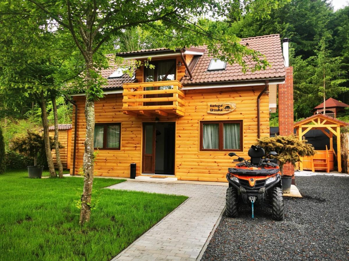 Bear'S Lair Chalet 포룸바쿠 데 수스 외부 사진